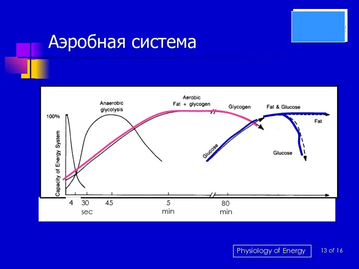 Аэробная система 6 30 45 5 min 80 min sec 4 13 of 16