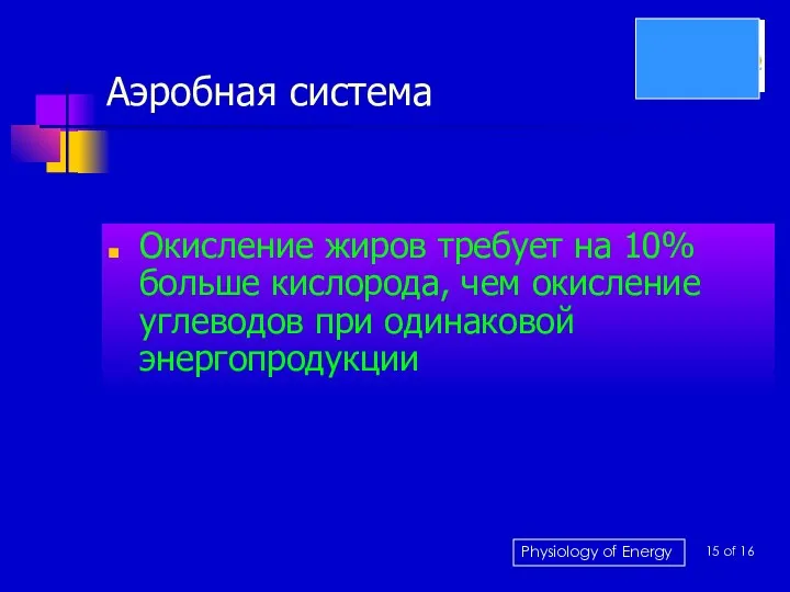 Аэробная система Окисление жиров требует на 10% больше кислорода, чем окисление