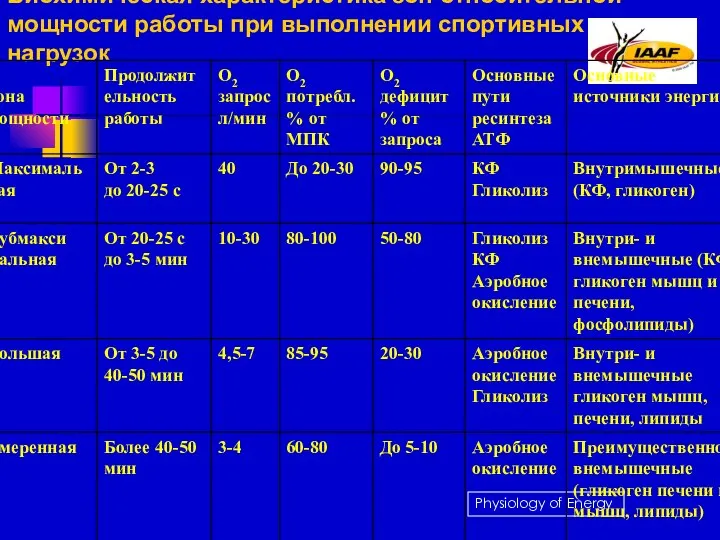 Биохимическая характеристика зон относительной мощности работы при выполнении спортивных нагрузок