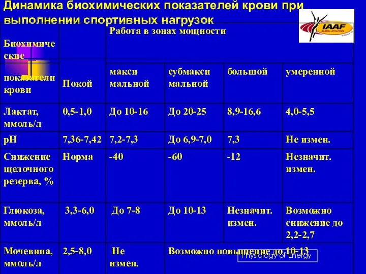 Динамика биохимических показателей крови при выполнении спортивных нагрузок