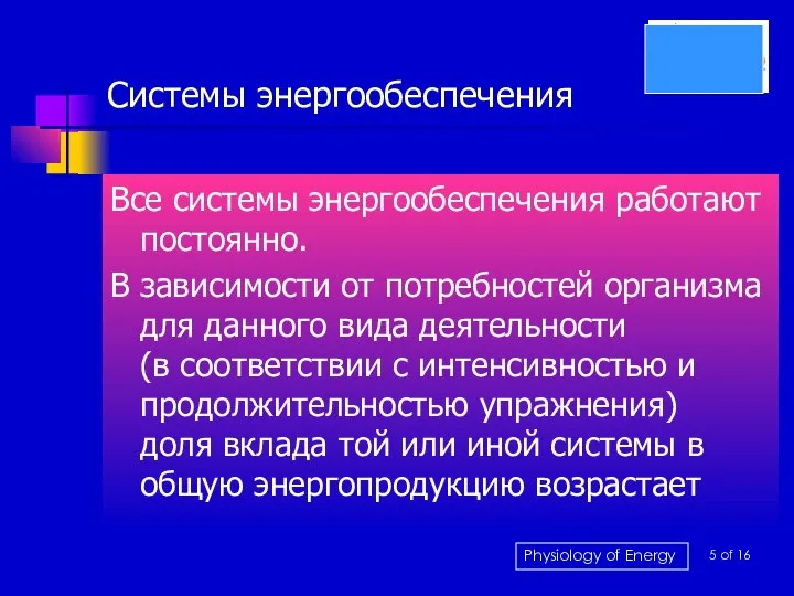 Системы энергообеспечения Все системы энергообеспечения работают постоянно. В зависимости от потребностей