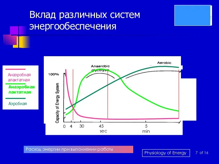 Вклад различных систем энергообеспечения Расход энергии при выполнении работы 30 45