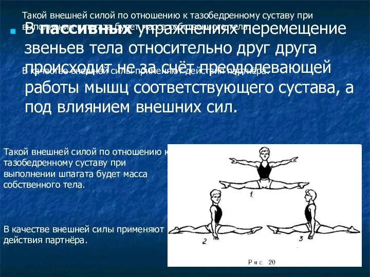 Такой внешней силой по отношению к тазобедренному суставу при выполнении шпагата