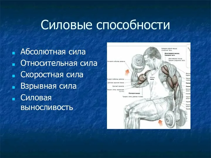 Силовые способности Абсолютная сила Относительная сила Скоростная сила Взрывная сила Силовая выносливость