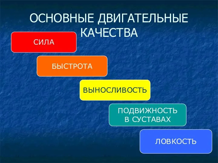 ОСНОВНЫЕ ДВИГАТЕЛЬНЫЕ КАЧЕСТВА СИЛА БЫСТРОТА ВЫНОСЛИВОСТЬ ПОДВИЖНОСТЬ В СУСТАВАХ ЛОВКОСТЬ