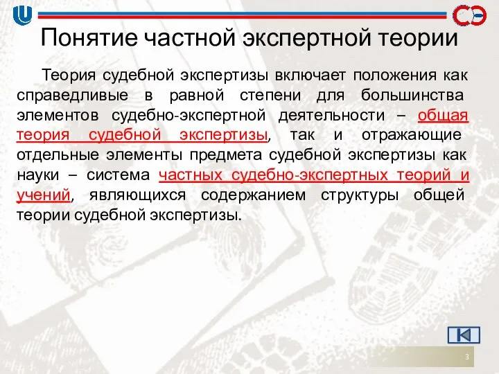 Понятие частной экспертной теории Теория судебной экспертизы включает положения как справедливые