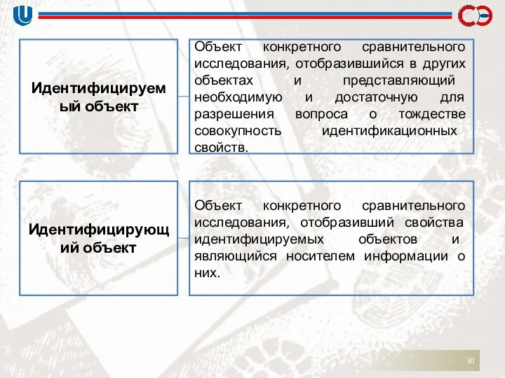 Идентифицируемый объект Объект конкретного сравнительного исследования, отобразившийся в других объектах и