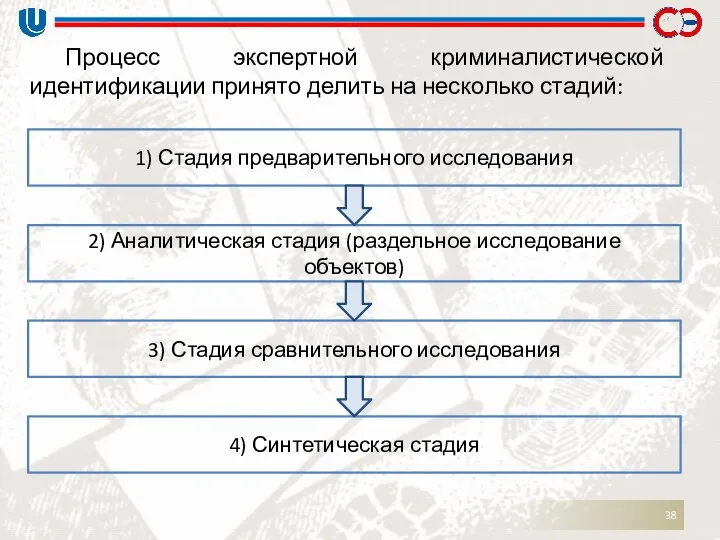 Процесс экспертной криминалистической идентификации принято делить на несколько стадий: 1) Стадия