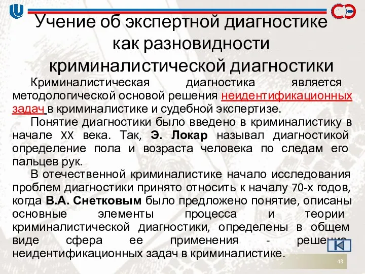 Учение об экспертной диагностике как разновидности криминалистической диагностики Криминалистическая диагностика является