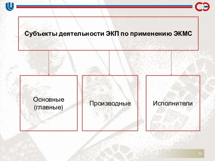 Субъекты деятельности ЭКП по применению ЭКМС Основные (главные) Производные Исполнители