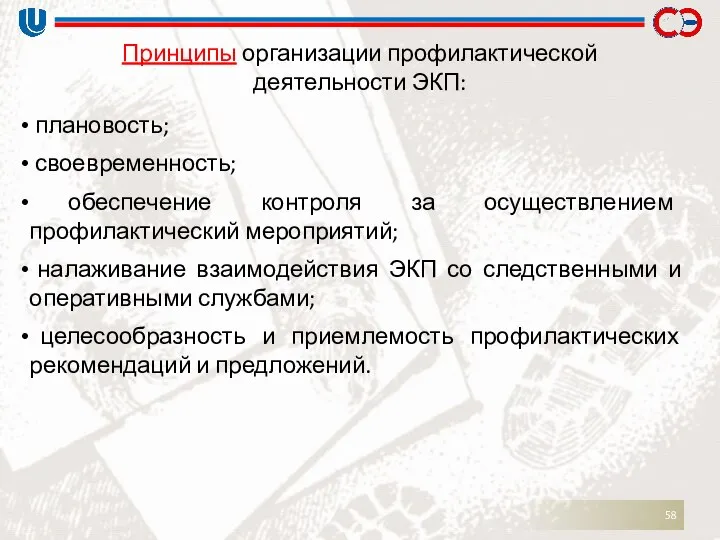 плановость; своевременность; обеспечение контроля за осуществлением профилактический мероприятий; налаживание взаимодействия ЭКП