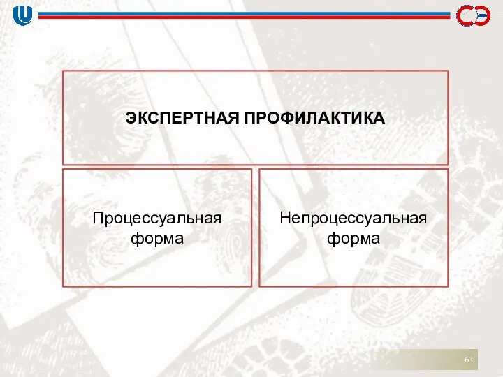 ЭКСПЕРТНАЯ ПРОФИЛАКТИКА Процессуальная форма Непроцессуальная форма