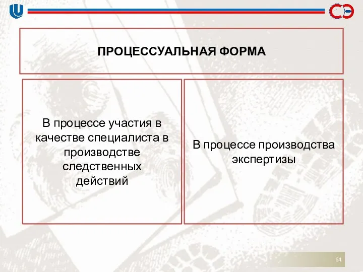 ПРОЦЕССУАЛЬНАЯ ФОРМА В процессе участия в качестве специалиста в производстве следственных действий В процессе производства экспертизы