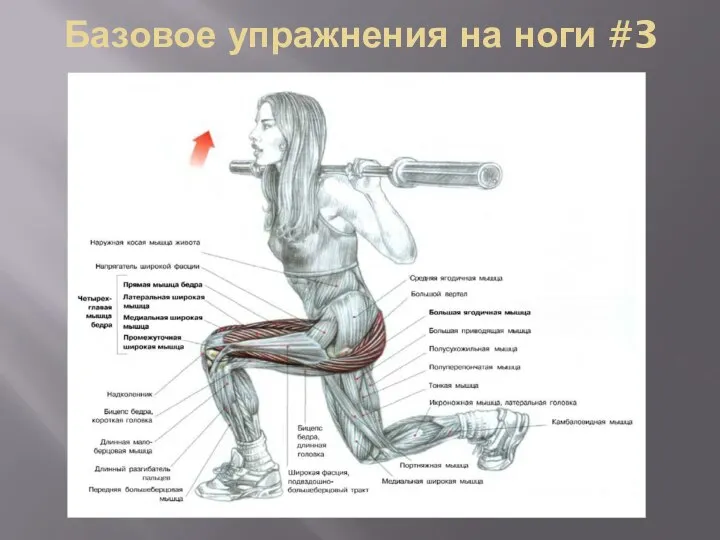 Базовое упражнения на ноги #3