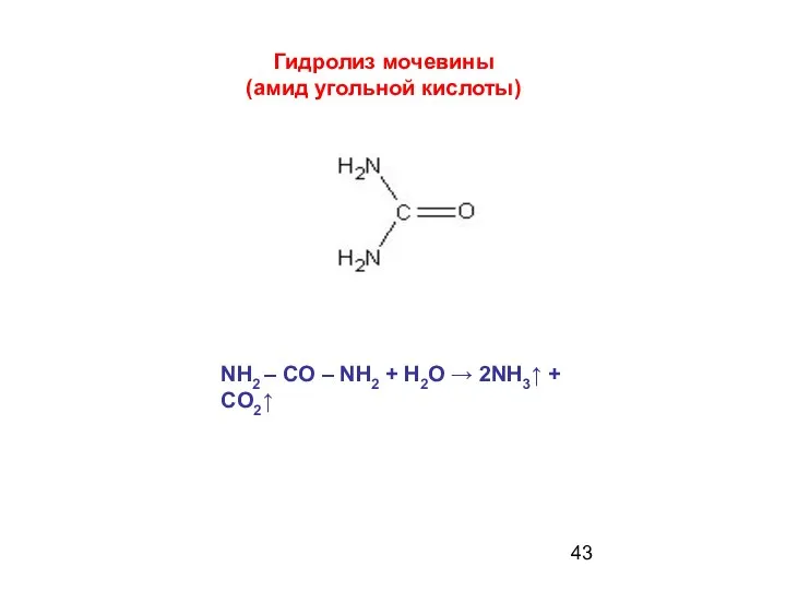 Гидролиз мочевины (амид угольной кислоты) NH2 – CO – NH2 + H2O → 2NH3↑ + CO2↑