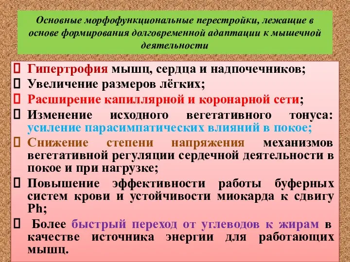 Основные морфофункциональные перестройки, лежащие в основе формирования долговременной адаптации к мышечной