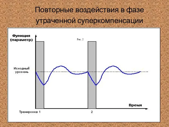 Повторные воздействия в фазе утраченной суперкомпенсации Рис. 2