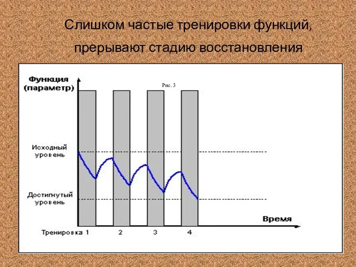 Слишком частые тренировки функций, прерывают стадию восстановления Рис. 3