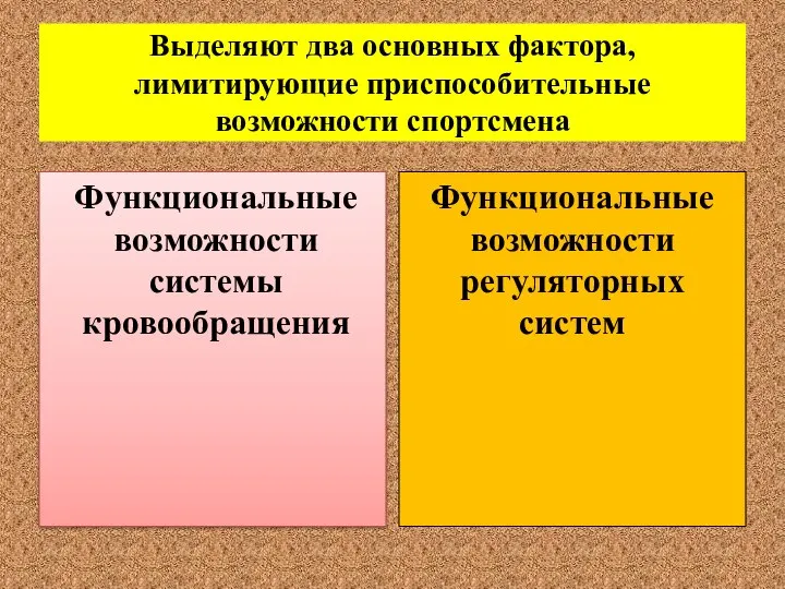 Выделяют два основных фактора, лимитирующие приспособительные возможности спортсмена Функциональные возможности системы кровообращения Функциональные возможности регуляторных систем