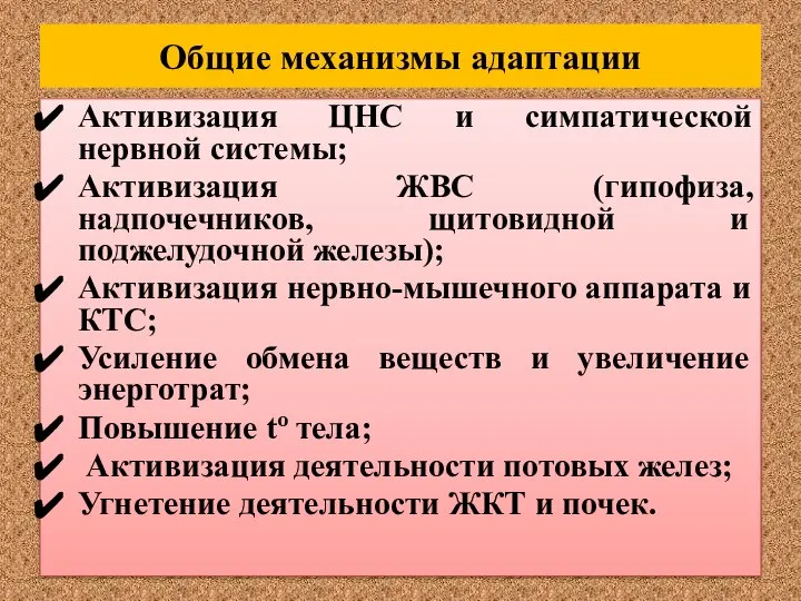 Общие механизмы адаптации Активизация ЦНС и симпатической нервной системы; Активизация ЖВС