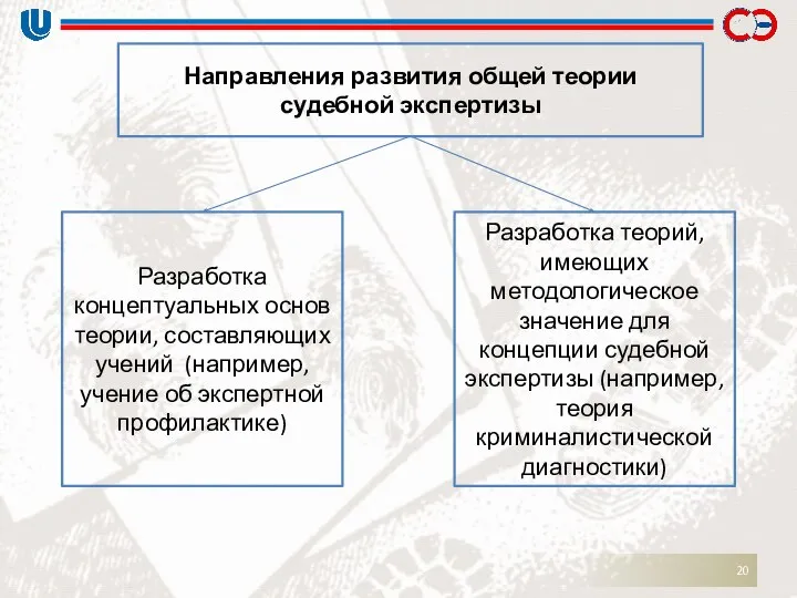 Разработка концептуальных основ теории, составляющих учений (например, учение об экспертной профилактике)