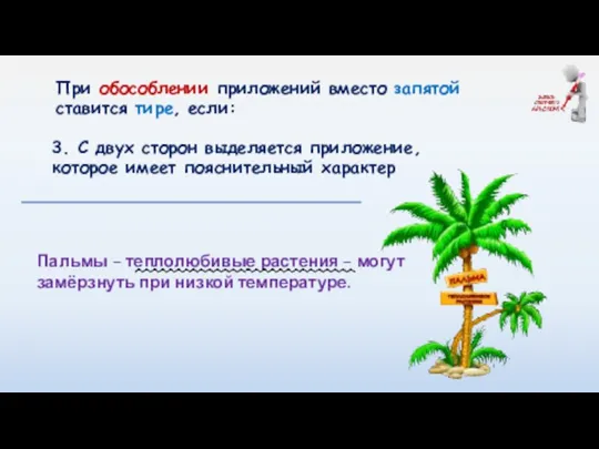 При обособлении приложений вместо запятой ставится тире, если: Пальмы – теплолюбивые