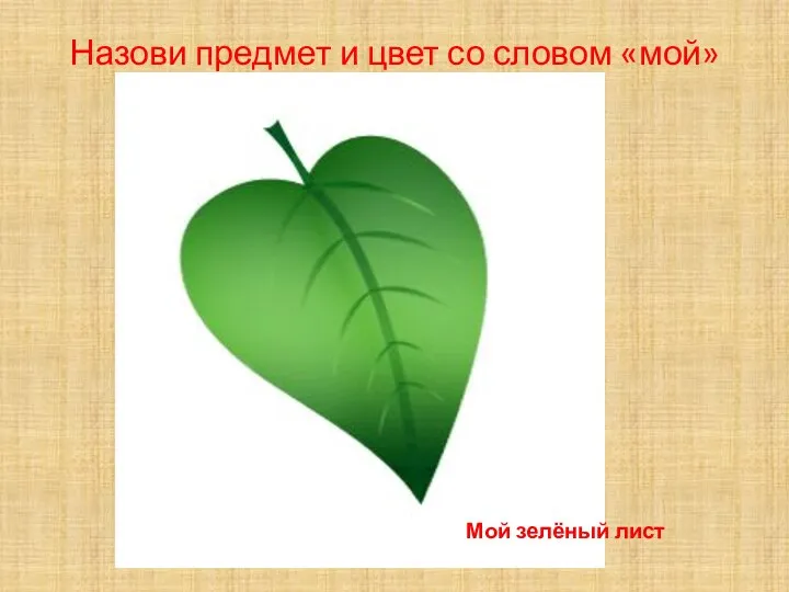 Назови предмет и цвет со словом «мой» («моя», «мои», «моё») Мой зелёный лист