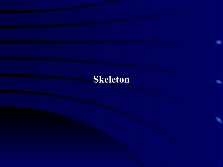 Skeleton