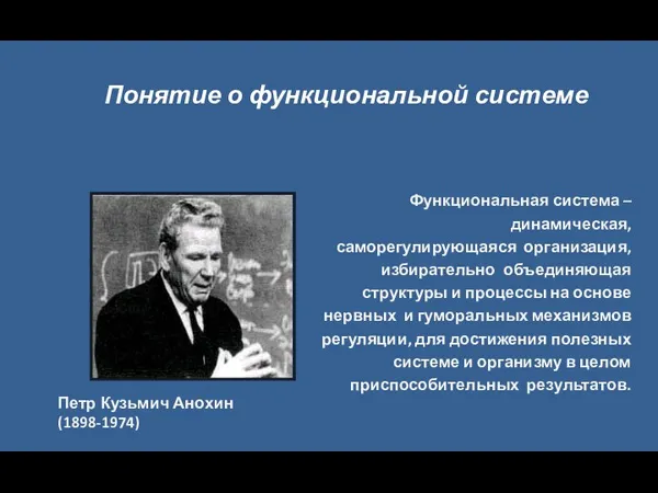 Функциональная система – динамическая, саморегулирующаяся организация, избирательно объединяющая структуры и процессы