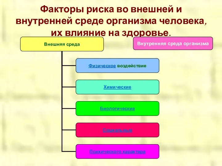 Факторы риска во внешней и внутренней среде организма человека, их влияние на здоровье. Внутренняя среда организма