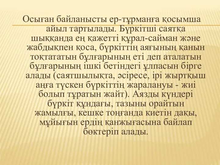 Осыған байланысты ер-тұрманға қосымша айыл тартылады. Бүркітші саятқа шыққанда ең қажетті