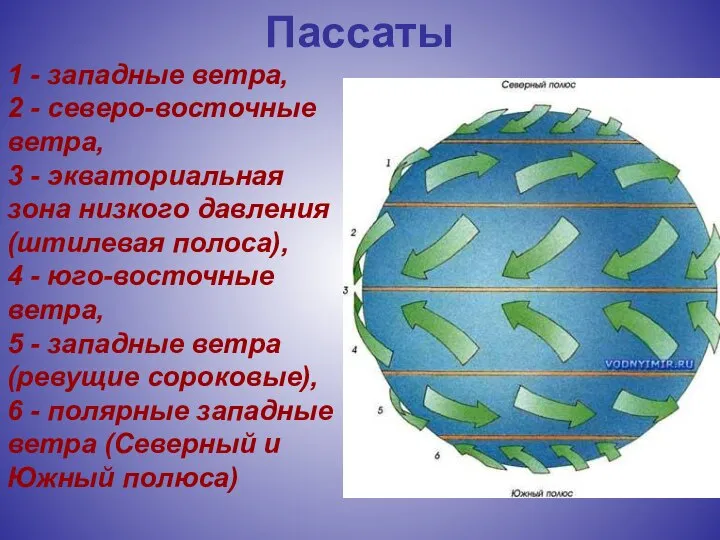 Пассаты 1 - западные ветра, 2 - северо-восточные ветра, 3 -