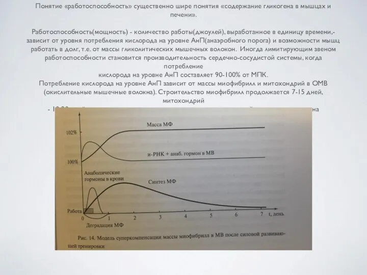 Понятие «работоспособность» существенно шире понятия «содержание гликогена в мышцах и печени».