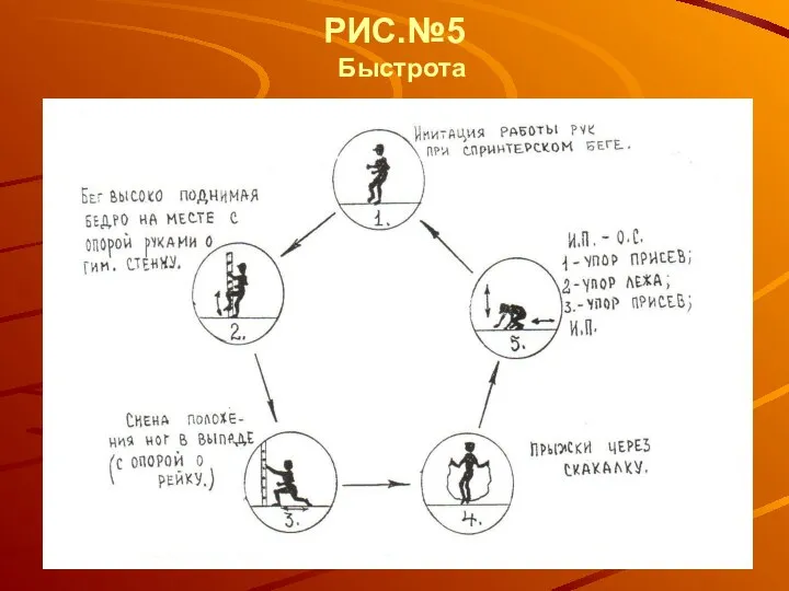 РИС.№5 Быстрота