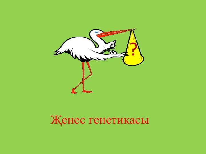 Җенес генетикасы ?