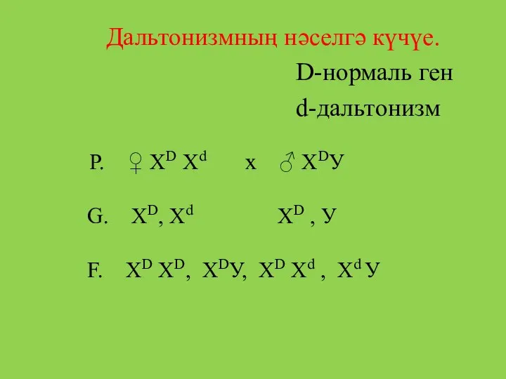 Дальтонизмның нәселгә күчүе. D-нормаль ген d-дальтонизм Р. ♀ ХD Хd х