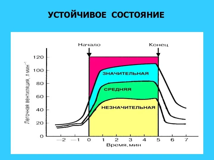 УСТОЙЧИВОЕ СОСТОЯНИЕ