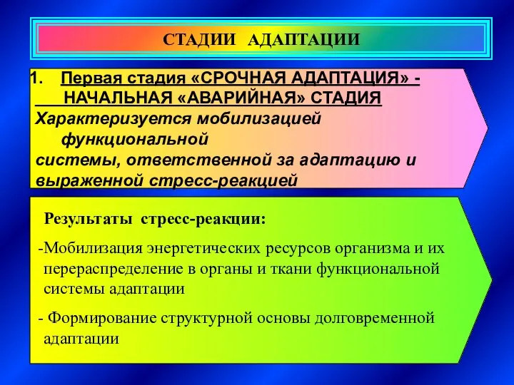 СТАДИИ АДАПТАЦИИ Первая стадия «СРОЧНАЯ АДАПТАЦИЯ» - НАЧАЛЬНАЯ «АВАРИЙНАЯ» СТАДИЯ Характеризуется