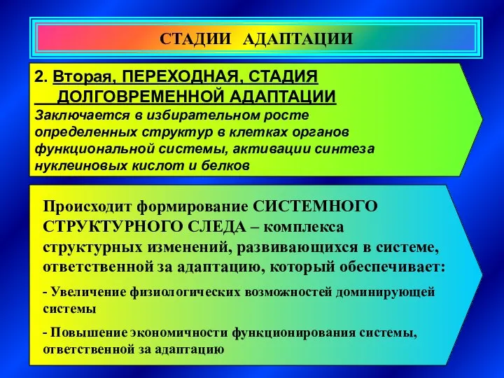 СТАДИИ АДАПТАЦИИ 2. Вторая, ПЕРЕХОДНАЯ, СТАДИЯ ДОЛГОВРЕМЕННОЙ АДАПТАЦИИ Заключается в избирательном