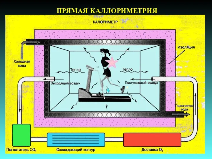 ПРЯМАЯ КАЛЛОРИМЕТРИЯ