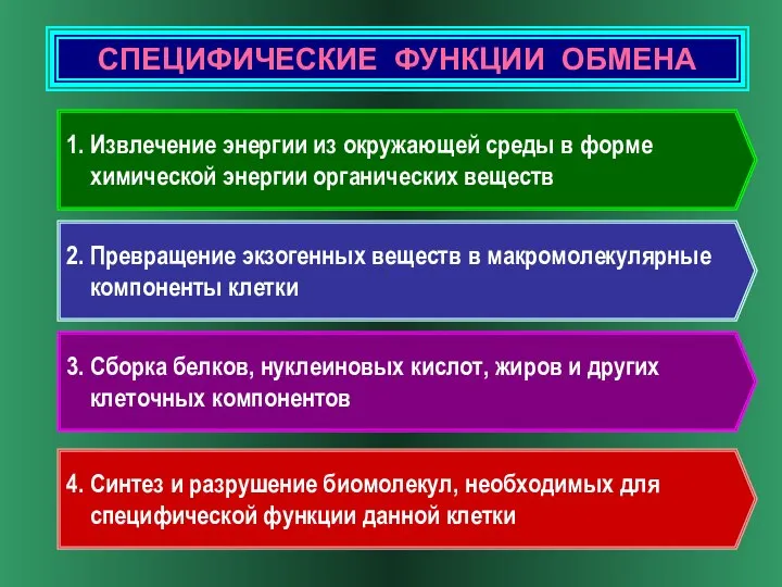 СПЕЦИФИЧЕСКИЕ ФУНКЦИИ ОБМЕНА 1. Извлечение энергии из окружающей среды в форме