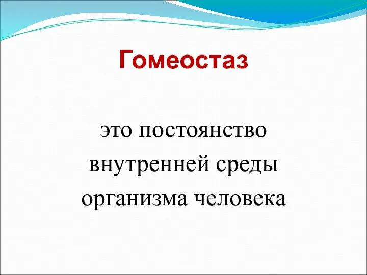 Гомеостаз это постоянство внутренней среды организма человека