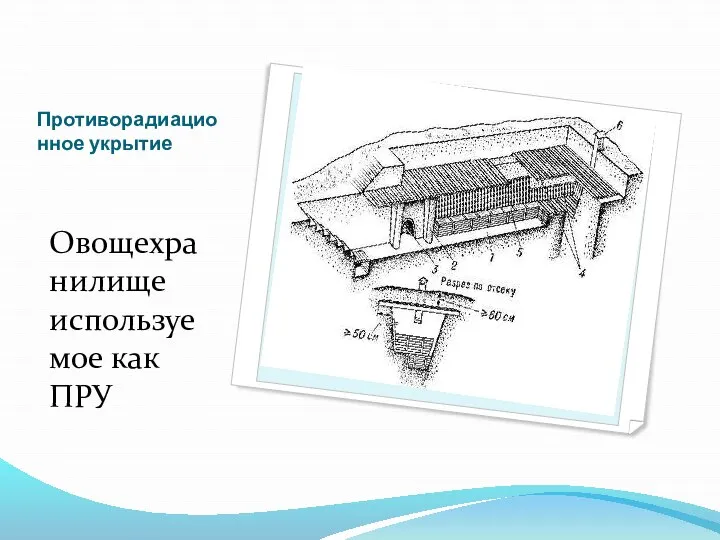 Противорадиационное укрытие Овощехранилище используемое как ПРУ