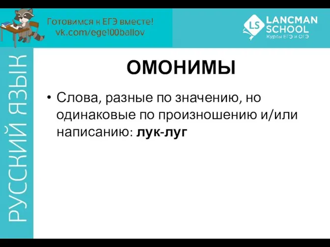 ОМОНИМЫ Слова, разные по значению, но одинаковые по произношению и/или написанию: лук-луг