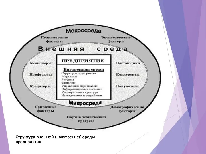 Структура внешней и внутренней среды предприятия