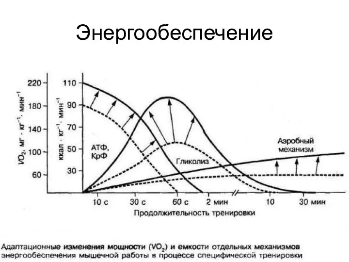 Энергообеспечение