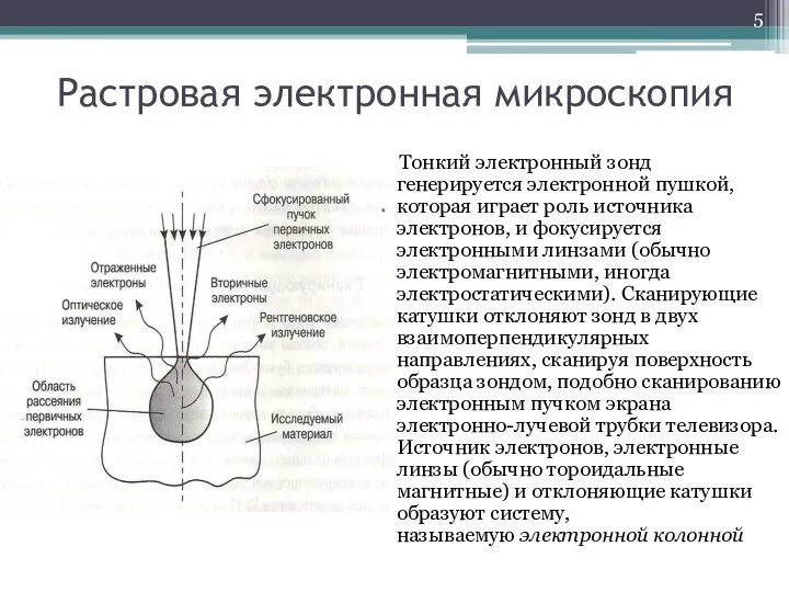 Растровая электронная микроскопия Тонкий электронный зонд генерируется электронной пушкой, которая играет