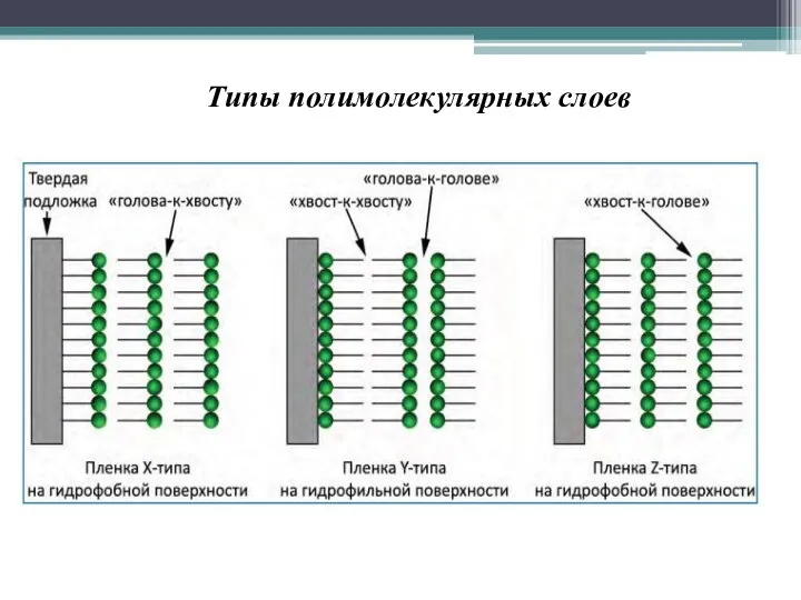 Типы полимолекулярных слоев