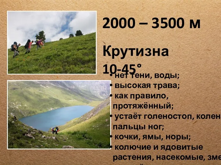 2000 – 3500 м Крутизна 10-45° нет тени, воды; высокая трава;