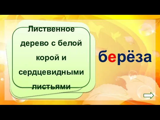 Лиственное дерево с белой корой и сердцевидными листьями берёза